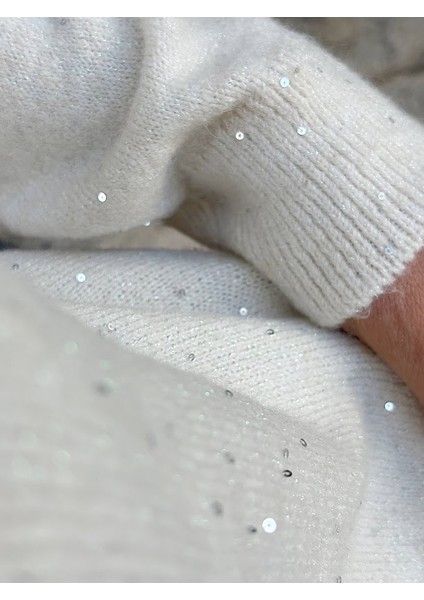 Gümüş Pul Işlemeli Hırka fiyatları