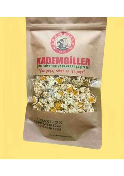 Mayıs Papatyası 70GR