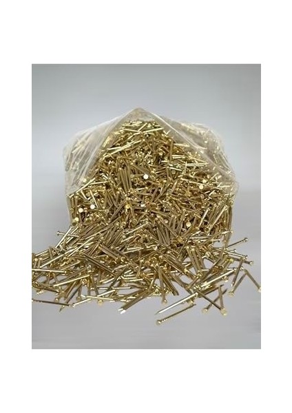 Filografi Altın Sarısı Renkli Düz Baş 250 Gram Filografi Çivisi fiyatları