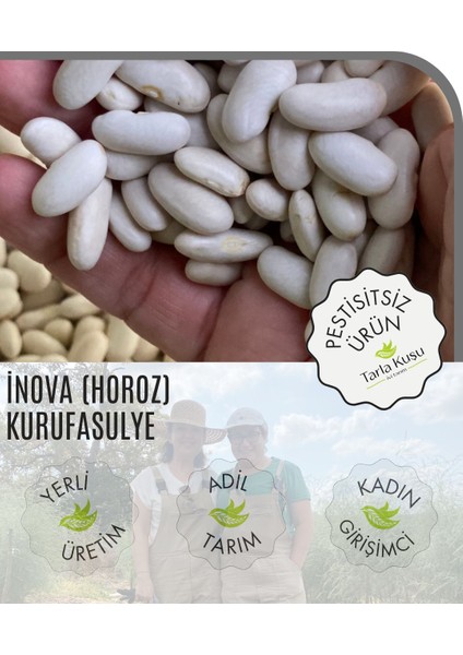 Inova(Horoz) Kuru Fasulye 5 kg (Tarla Kuşu, Doğal Tarım, Ilaçsız, Yeni Mahsul, Kozçeşme- Biga)