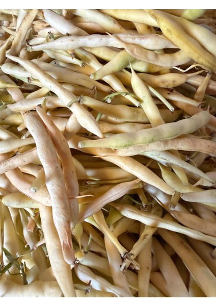 Inova(Horoz) Kuru Fasulye 5 kg (Tarla Kuşu, Doğal Tarım, Ilaçsız, Yeni Mahsul, Kozçeşme- Biga) modelleri