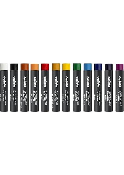 Carioca Plus Watersoluble Yağlı Pastel 12&apos;li (Suda Çözünür)