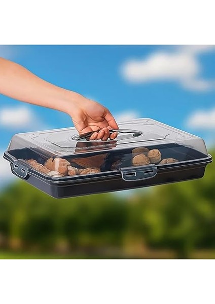 Borcam, Kek Taşıma Kabı, 44,5 x 30,5 Cm, Kapaklı (Siyah)