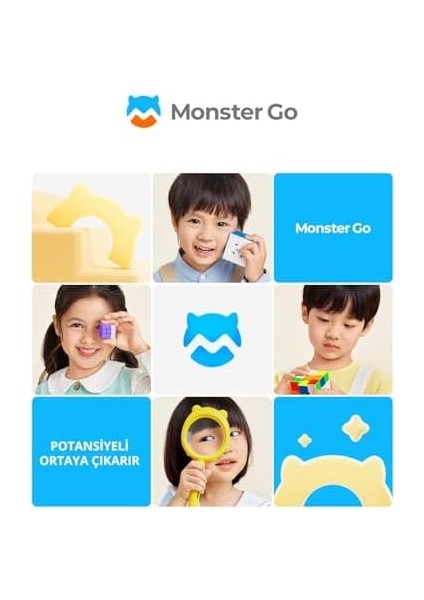 Coverzone Go 251 2x2 (Etiketsiz) Zeka Küpü Türkiye Resmi Satıcısı (Gan Üretimidir)