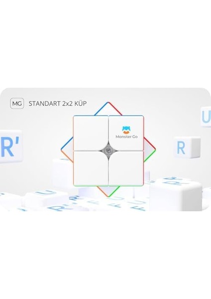 Coverzone Go 251 2x2 (Etiketsiz) Zeka Küpü Türkiye Resmi Satıcısı (Gan Üretimidir) fiyatları