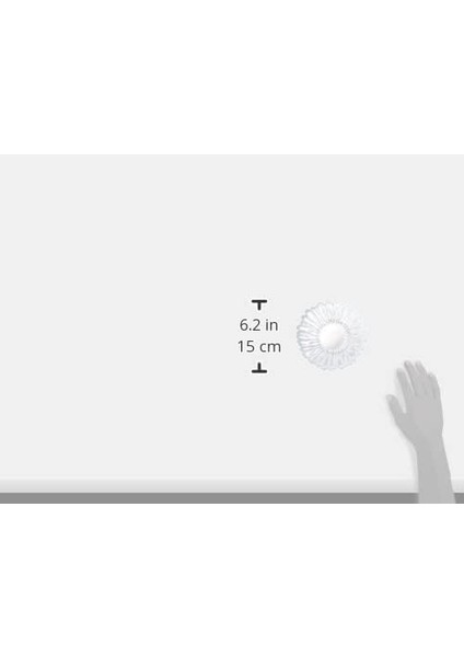 Aurora Pasta Tabağı 205 mm T 6&apos;lı Hediyelik Kutu modelleri