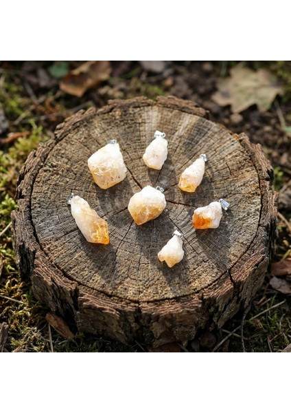 Ham Sitrin Taşı Çelik Kolye – Para Taşı fiyatları