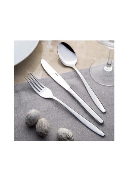 Sade 30 Parça Karton Kutulu Çatal Kaşık Takımı 18-10 304 Bıçaksız modelleri