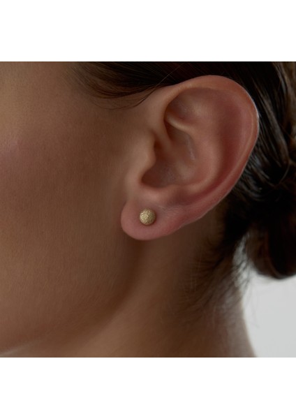 Medium Shine Dot Küpe