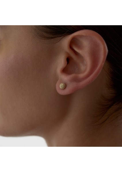 Medium Shine Dot Küpe fiyatları