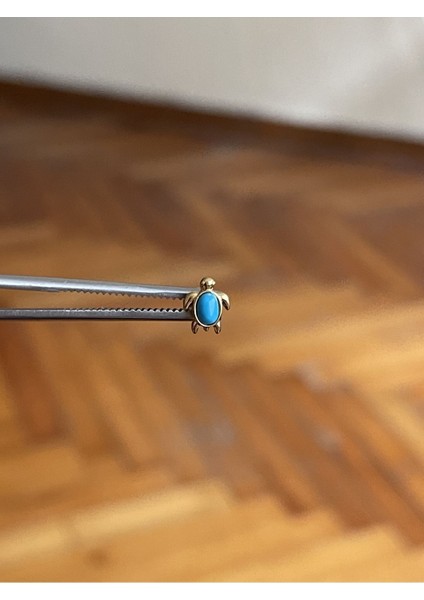 316 L Cerrahi Çelik Dudak Kıkırdak Helix Tragus Piercingi fruze Taşı Detaylı Kaplumbağa Piercing