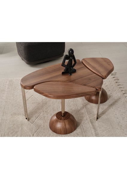 Duru 3lü Demontemodern Orta Sehpa