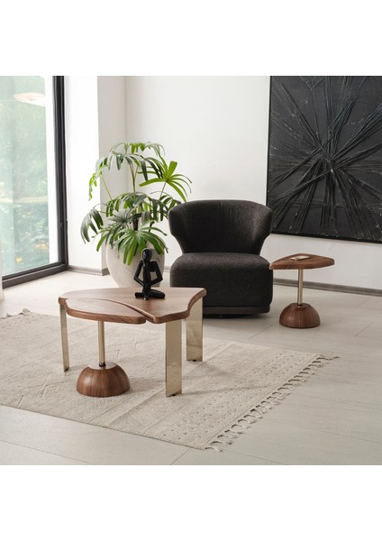 Duru 3lü Demontemodern Orta Sehpa fırsatları