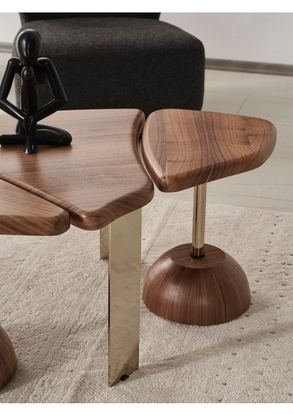 Duru 3lü Demontemodern Orta Sehpa