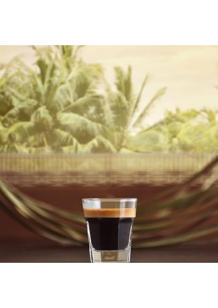 Lav Mini Bar (Lav Galata 6&apos;lı Viski Bardağı, Lav Aras 6&apos;lı Likör Bardağı, Lav Belek 6&apos;lı Bardağı) modelleri