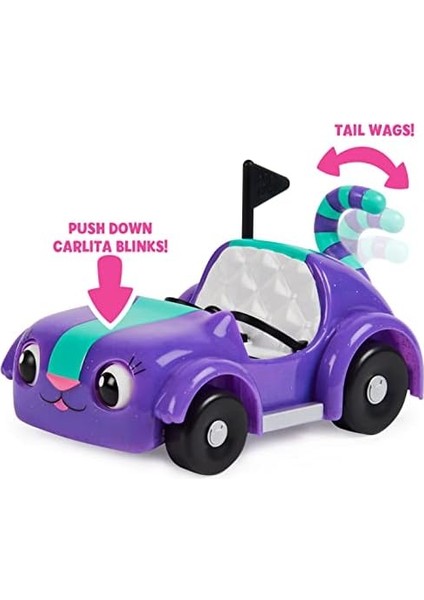 Dollhouse - ve Pandy Paws Piknik modelleri