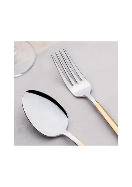 Nehir Dalyan Altın Sade 12 Kişilik 89 Parça Deri Kutulu Çatal Kaşık Bıçak Takımı fiyatları