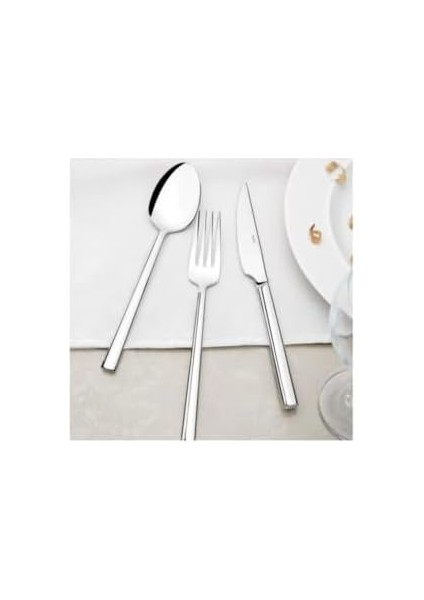 Dalyan Sade 89 Parça Karton Kutulu Çatal Kaşık Bıçak Takımı 18-10 304 fiyatları