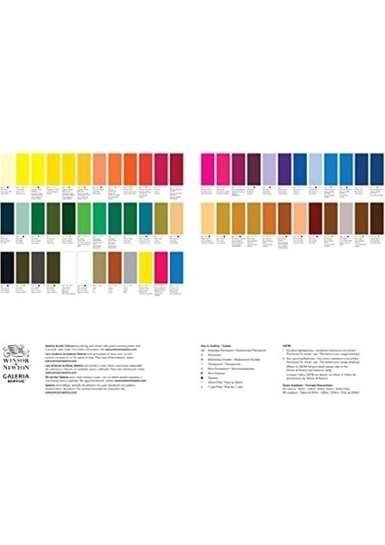 & Newton Galeria Akrilik Boya, 60ML, Raw Sienna Opaque 553