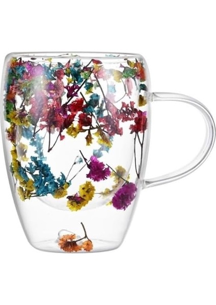 Çift Cidarlı Borosilikat Cam, Renkli Kuru Çiçek Tasarımlı, 350 ml Kapasiteli, Kulplu, Şeffaf Kahve Kupası fiyatları