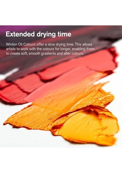 &newton Winton Yağlı Boya, 37ML, Ivory 331 (24) fiyatları