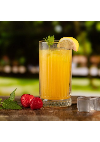 520015 12&apos;li Meşrubat Bardağı 445 cc modelleri