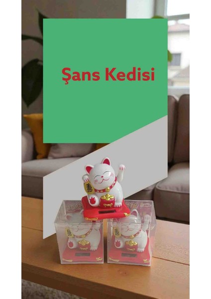 Solar El Sallayan Şans Kedisi