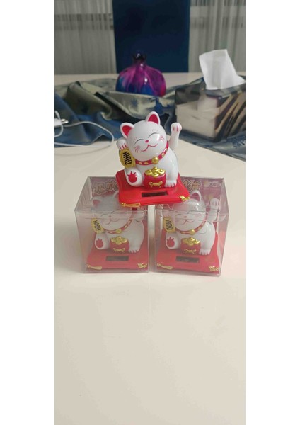 Solar El Sallayan Şans Kedisi fiyatları