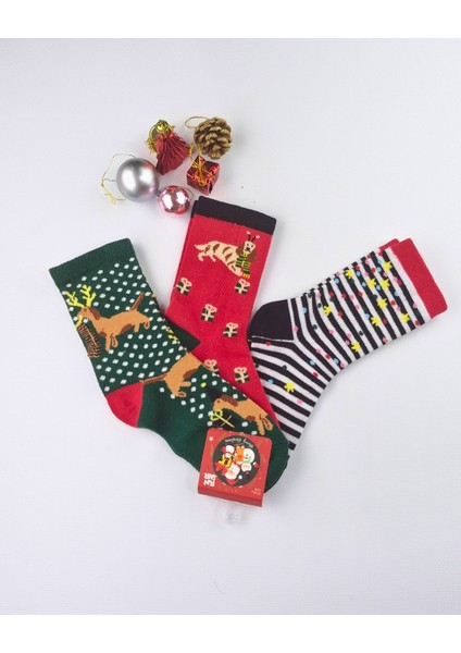 Asliva 3'lü Paket Yılbaşı Temalı Çocuk Çorap Seti - Renkli ve Eğlenceli Kışlık (Numara: 25-30) indirimleri