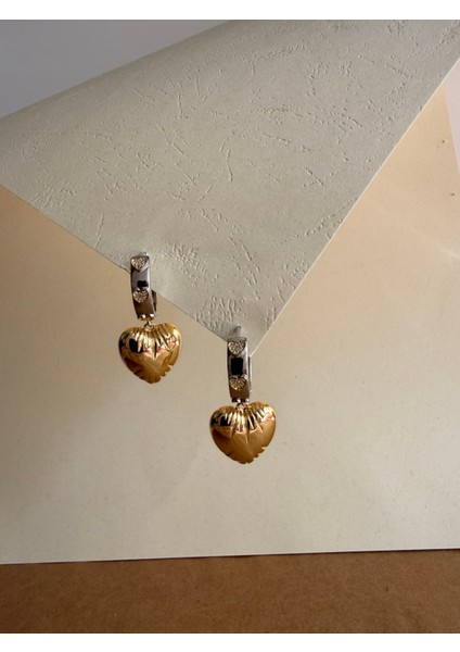 Heart Çelik Küpe fiyatları