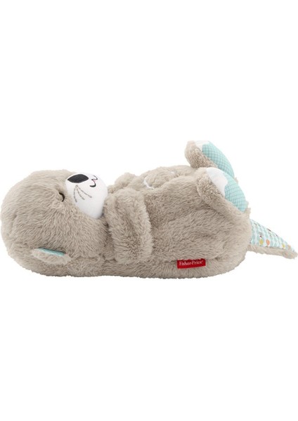 FXC66 Fisher-Price® Uyku Arkadaşı Su Samuru fırsatları