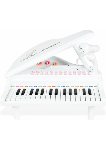 BAO-1504B 31 Tuşlu Mini Piano MP3 -Vardem