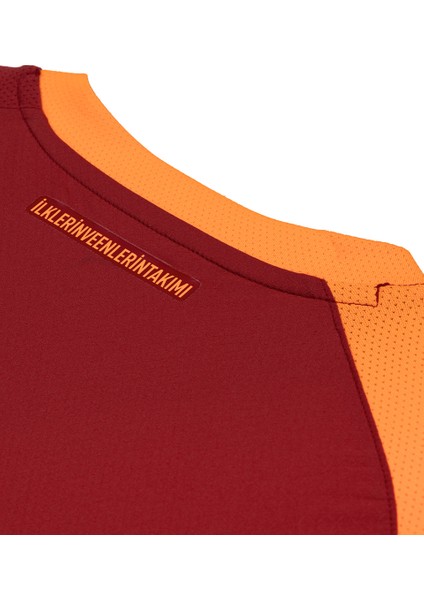 Galatasaray Puma 2025/2026 Iç Saha Parçalı Profesyonel Forma 78062601 modelleri