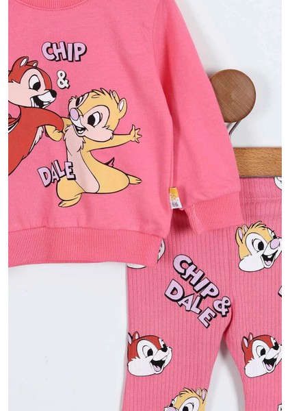 6-24 Ay Chip & Dale Baskılı Ispanyol Paça Bebek Takımı | Mevsimlik fiyatları