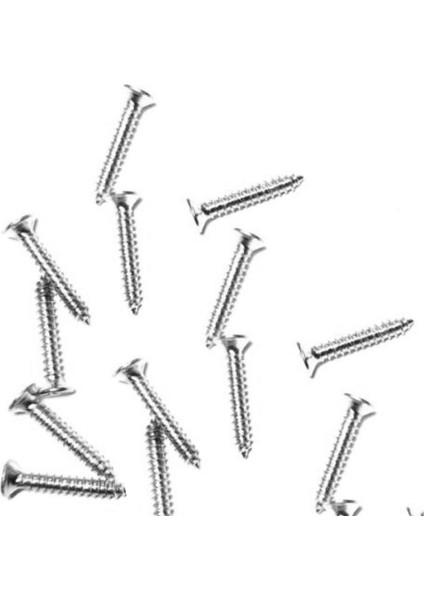 100 Adet 13 mm Mini Hobi Vidası Nikel 100 Adet