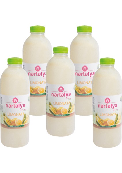 Dondurulmuş Doğal Limonata Şeker İlavesiz 5 Adet 900 ml.