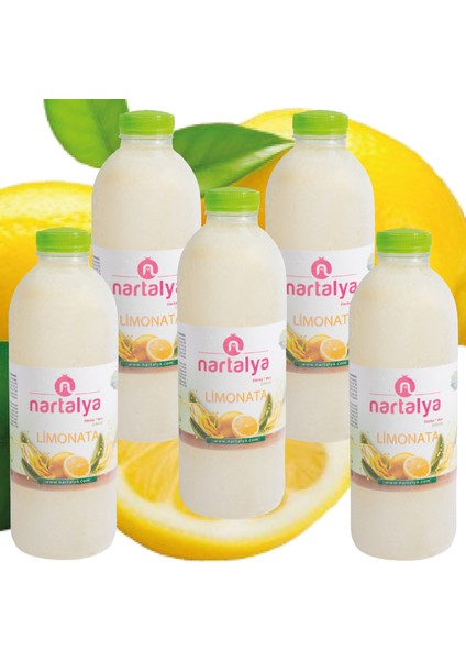 Dondurulmuş Doğal Limonata Şeker İlavesiz 5 Adet 900 ml. indirimleri