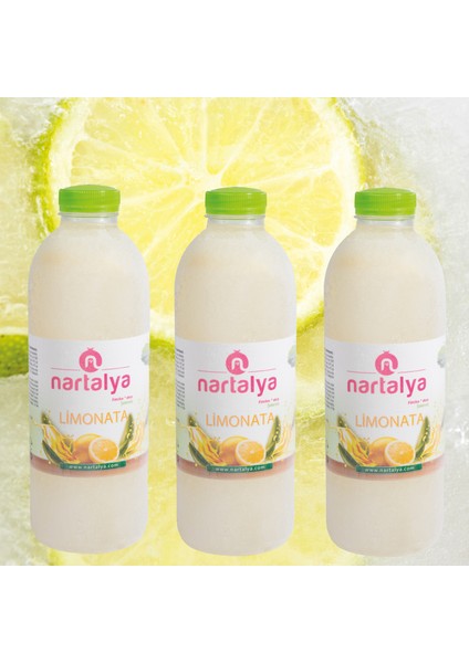 Dondurulmuş Doğal Limonata Şeker İlavesiz 5 Adet 900 ml.