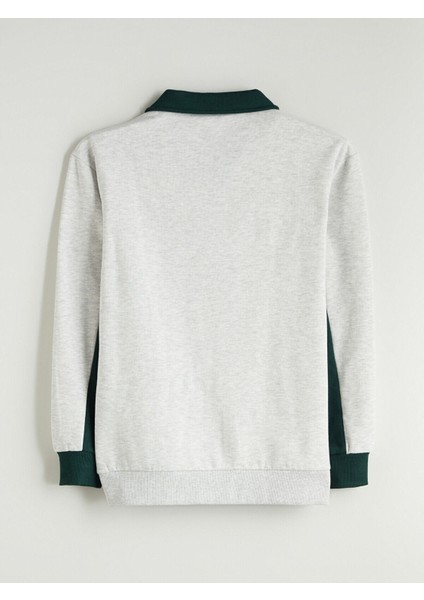 Lcw Yeni Yeni Sezon Polo Yaka Erkek Sweatshirt