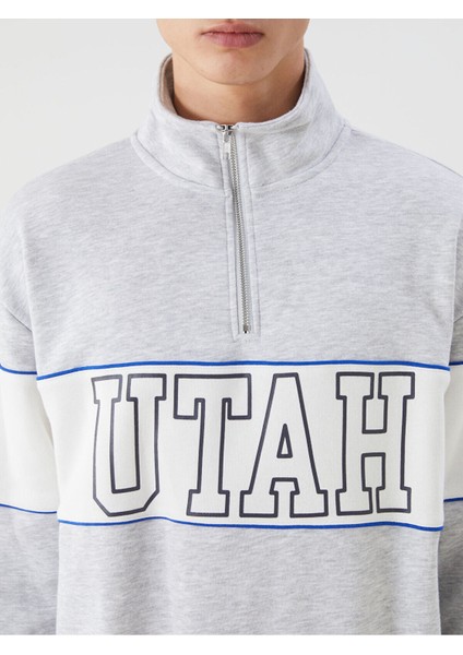 Lcw Yeni Beyaz Dik Yaka Renk Bloklu Erkek Sweatshirt modelleri