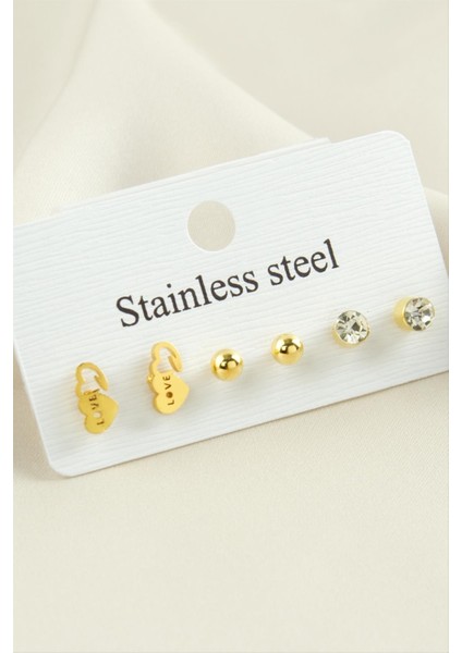 6 Adet Kalp Taşlı Çelik Küpe fiyatları