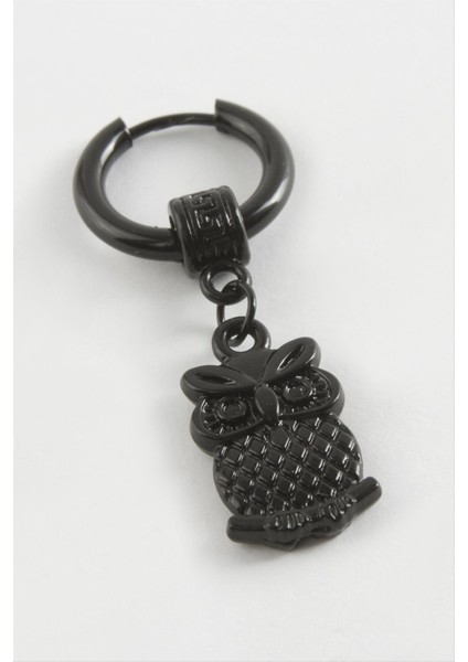 Baykuş Erkek Çelik Küpe fiyatları