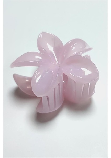 6 cm Lotus Toka fiyatları