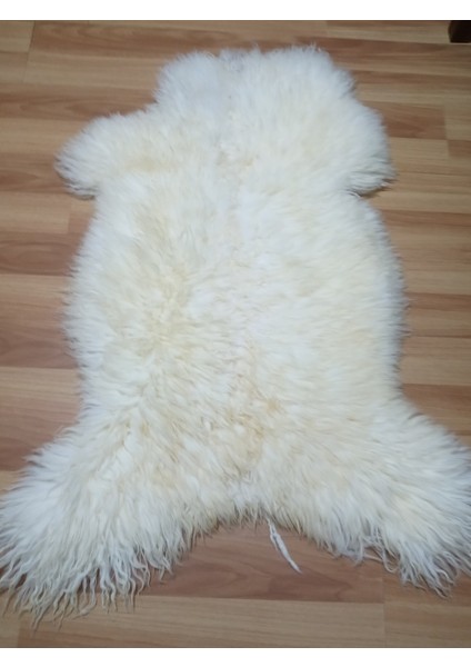 Doğal Işlenmemiş Hiç Kırpılmamış Gerçek Koyun Postu , Halı, Oldukça Etli Posteki