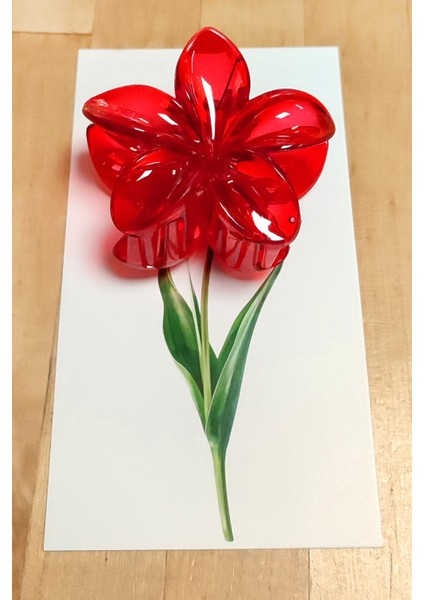 100 Adet Şeffaf Renkli Lotus Toka 8 cm Kına Seti fiyatları