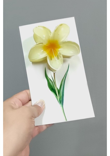 100 Adet Sarı Lotus Toka 8 cm Kına Seti modelleri