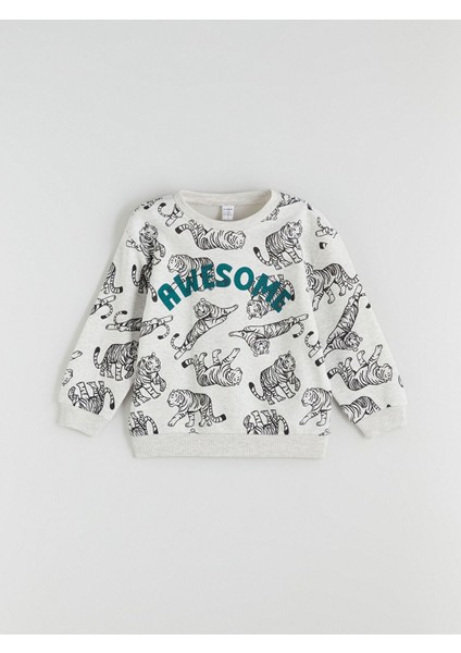 Lcw Yeni Karişik Bisiklet Yaka Erkek Çocuk Sweatshirt 2'li fiyatları