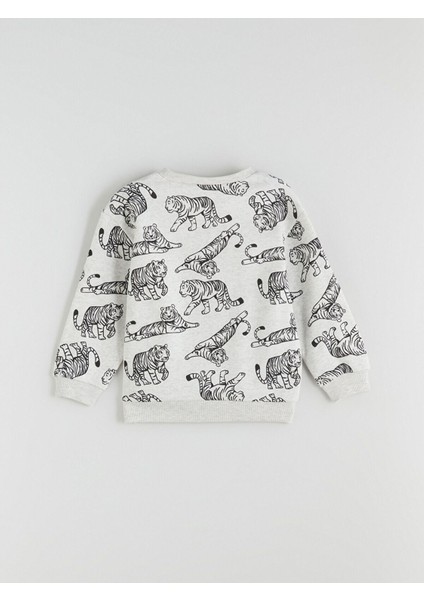 Lcw Yeni Karişik Bisiklet Yaka Erkek Çocuk Sweatshirt 2'li fırsatları