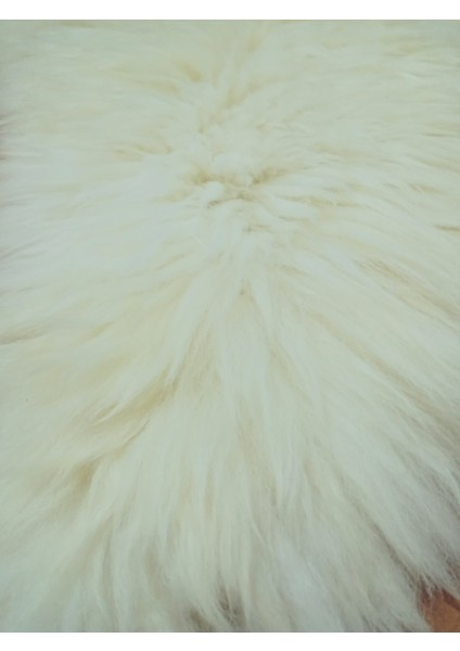 Doğal Işlenmemiş Hiç Kırpılmamış Gerçek Koyun Postu , Halı, Oldukça Etli Posteki modelleri