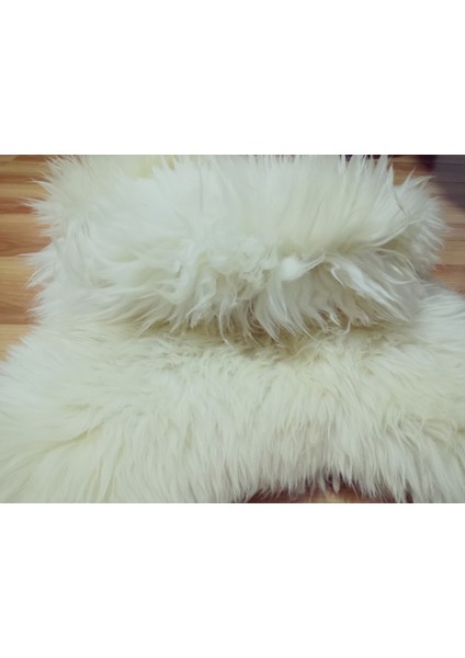 Doğal Işlenmemiş Hiç Kırpılmamış Gerçek Koyun Postu , Halı, Oldukça Etli Posteki fırsatları